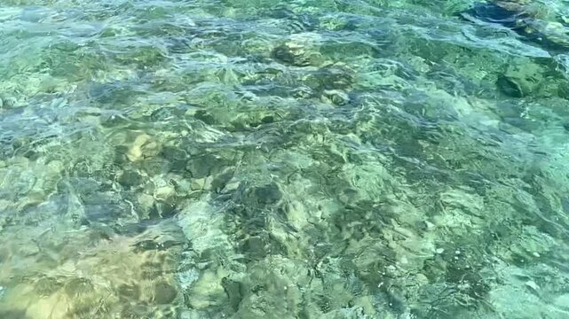 Clear Shallow Sea Water Over Sunlit Stones.