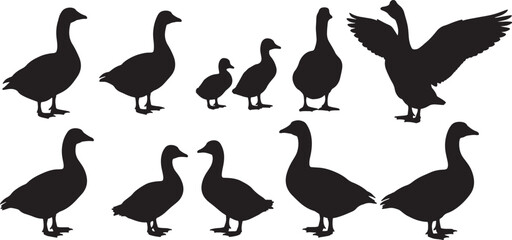 Obraz premium Black silhouettes of geese on white background also transparent background birds waterfowl