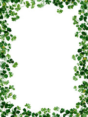 Fototapeta premium Lush Irish Shamrock Frame with Transparent Background for St. Patrick’s Day Designs, Posters, Cards, and Branding