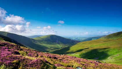 Vast Green And Purple Hillsides Under A Blue Summer Sky In The Welsh Mountains