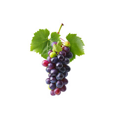 Fototapeta premium Fresh purple grape bunch with green leaves isolated on white background