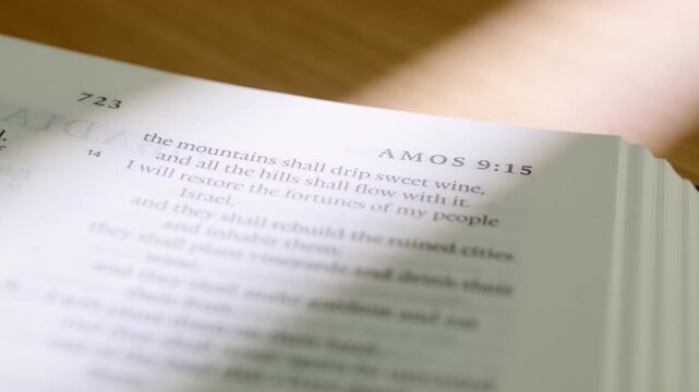 Bible Amos and Obadiah pages turn during a close up study of holy scripture. Watch as white paper flips from the end of Amos into the start of Obadiah in a modern religious book for study.