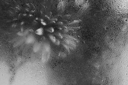 Smoke soft focus black and white flower through glass with wet water Drops. Abstract natural blur noice background.