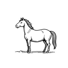 Obraz premium Small strong horse standing in a sketched style on white background 