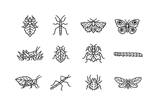 Insect Camouflage Icons. Insect Camouflage. Line icon set of Insect Camouflage: leaf insect mimic, stick insect mimic, moth bark disguise, butterfly wing