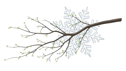 Obraz premium Spring branch with snowflake