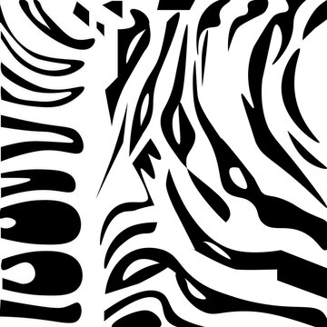 White Tiger Vector