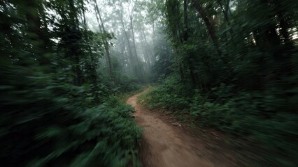 Winding path through a misty green forest