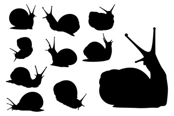 A comprehensive set of black snail silhouettes, perfect as an icon or symbol, showcasing various garden snail poses, each isolated vector design provided in a high-quality EPS file for easy use.
