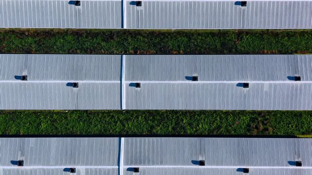 Geometric rooftops of farm buildings. Top down view of parallel farm rooftops creating strong geometric pattern