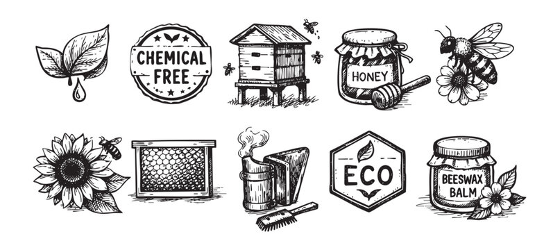 Set of vintage black and white bee keeping icons and hand drawn elements including honey, beehive, bee and beeswax products.