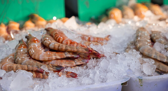 Fresh seafood display with shrimp and shellfish at thai fish market