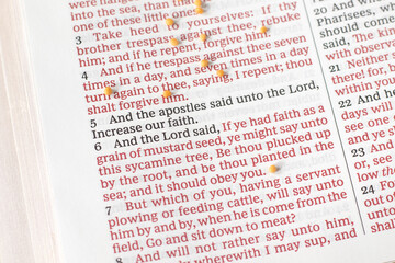 Obraz premium Holy bible book and mustard seeds. Close-up. Trust and faith in God Jesus Christ, biblical concept.