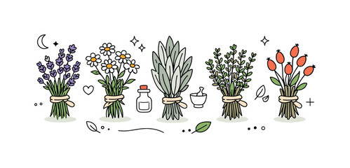Herbal Collection Illustration. Herbal dried plants collection. Small bundles of herbs placed side by side, showing natural ingredients and home remedy