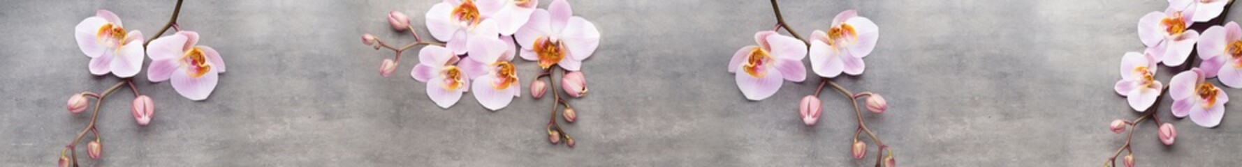 Delicate blooming pink orchid branches lying on a textured grey concrete surface in a wide panoramic composition