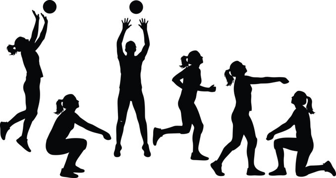 Vector silhouette volleyball players performing jumping serve setting spiking digging and kneeling poses in sequence isolated on white background flat design action lineup dynamic motion energy