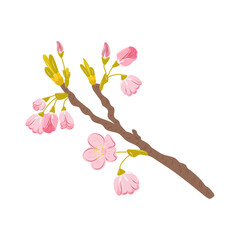 Cartoon cherry blossom branch with pink flowers isolated on the white background. Sakura clipart perfect for spring themed designs. © IrinaBrusentseva