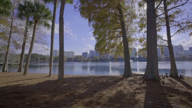 Nature scene Orlando Lake Eola. 4k 24p prores raw 422