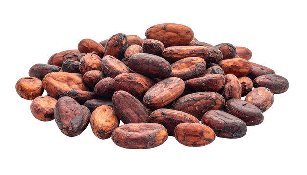 A close-up shot of a pile of roasted, oval-shaped cocoa beans, showcasing a variety of brown hues and textures on a black background