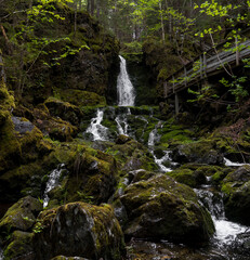 Fototapeta premium Waterfall and mossy rocks in Fundy National Park, New Brunswick, Canada