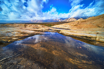 Naklejka premium Red Rock Canyon Puddle Water Reflection and Dramatic Calico Hills Landscape