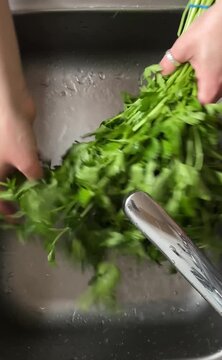 chef preparing fresh herbs