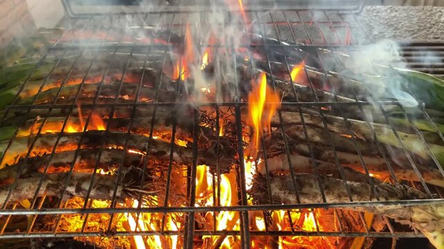 Cal&ccedil;ots Cooking on Open Fire During Traditional Catalan Barbecue
