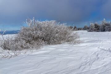 Winter Landscape of Vitosha Mountain, Bulgaria