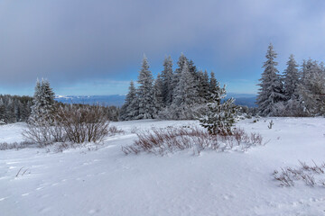 Winter Landscape of Vitosha Mountain, Bulgaria