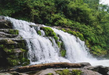 Fototapeta premium Water cascades down rocks surrounded by greenery in a forest setting, creating a natural scene filled with sounds of flowing water