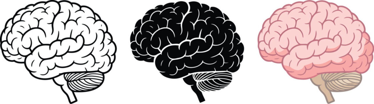 Brain, Illustration Poster, human brain line art, detailed neural texture