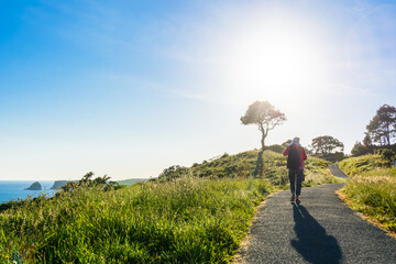 Woman Hiking a Coastal Trail in Bright Morning Sunlight in New Zealand