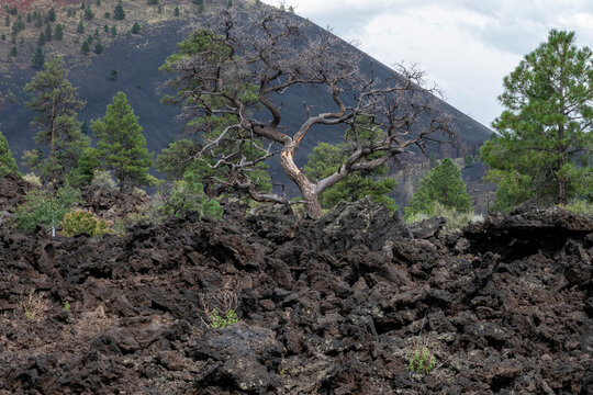 Sunset Crater