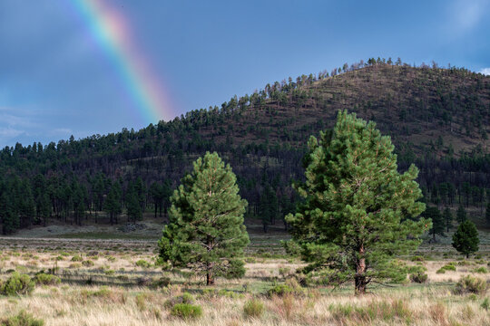 Sunset Crater