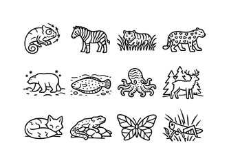 Fototapeta premium Animal Camouflage Icons. Animal Camouflage. Line icon set of Animal Camouflage: chameleon color change, zebra stripes, tiger grass blend, leopard spots, polar