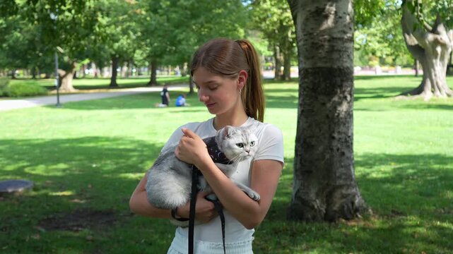 Young woman gently holds a grey British Shorthair cat in a harness and kisses the cats head in a public park. Real-time.