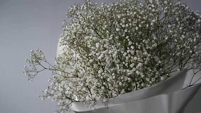 Gypsophila paniculata flowers in a bouquet