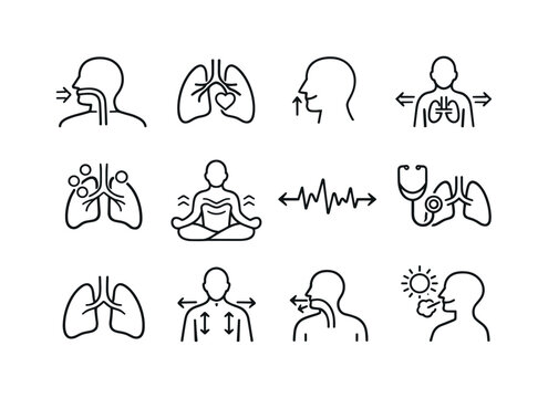 Healthy Breathing Icons. Healthy breathing process. Line icon set of Healthy breathing process: normal respiration, lung health, steady inhale, balanced
