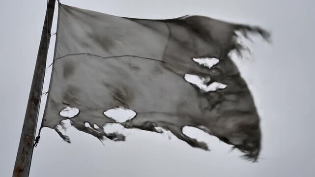 Tattered White Flag Blowing In Wind