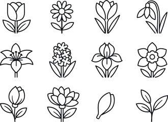 Line style vector icons of Spring flowers icons: tulip, daisy, crocus, snowdrop; lily, hyacinth, iris, narcissus; bud, bloom,