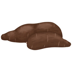 Illustration of two cassava 