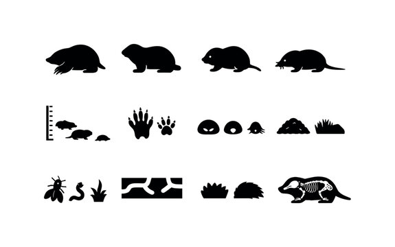 Mole Silhouette Icons. Mole comparison. Solid icon set of mole comparison: mole silhouette, gopher silhouette, vole silhouette, shrew silhouette, size scale,