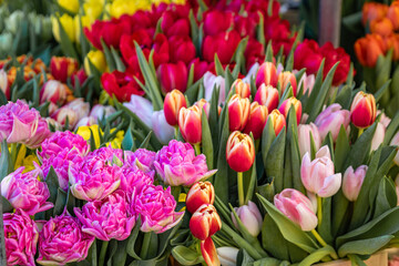 Blooming tulips at a stand in the Old Town farmers market, Bern, Switzerland © SvetlanaSF
