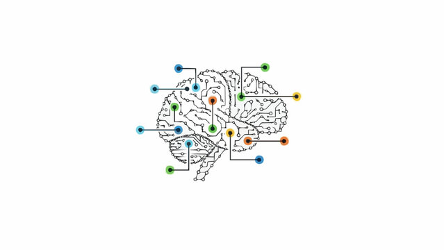Brain with colorful neural connections.