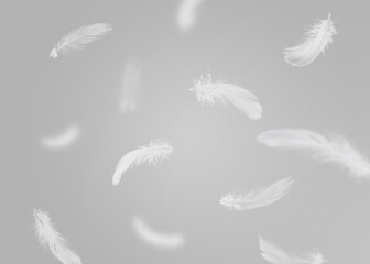 White fluffy feathers flying in air against grey background