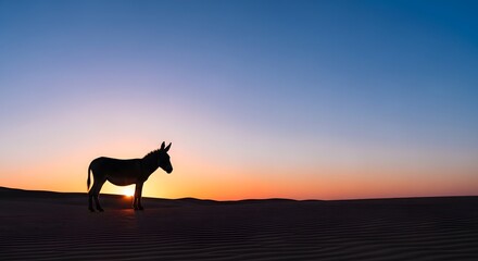 Fototapeta premium Donkey silhouette against sunset in desert landscape for Palm Sunday 
