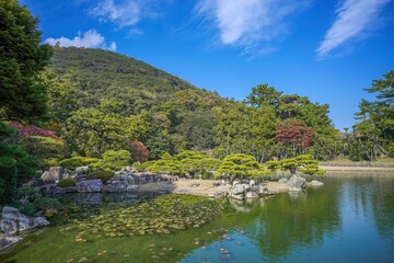 Fototapeta premium 青空と緑豊かな山を背景にした美しい秋の日本庭園の池と松の風景