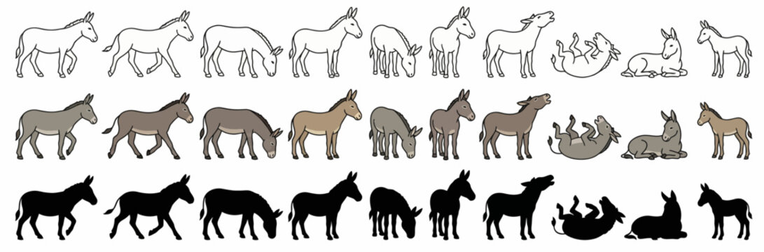 Donkey Vector Icon Set with Outlines, Flat Colored Vectors, and Solid Black Silhouettes, Burro and Foal Illustrations for Agriculture, Farm, and Wildlife Design
