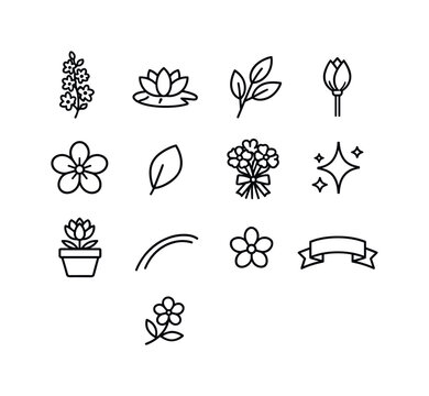 July Birth Flowers Icons. July birth flowers. Line icon set of july birth flowers: larkspur, water lily, leaf sprig, bud, blossom icon, petal outline, bouquet,