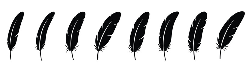 Set of realistic black silhouette feather isolated on transparent background for your design © GoDesigner